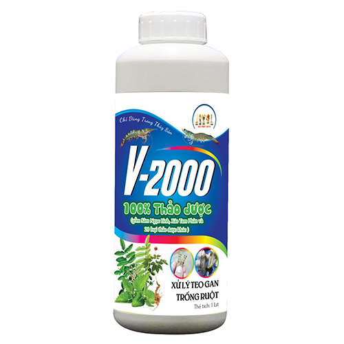 V2000